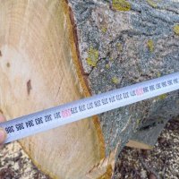 Дървен материал орех / Ствол от орех / Дънер орех / Орехова дървесина, снимка 3 - Дърва за огрев - 44349414
