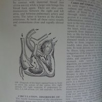 Black's medical dictionary, снимка 8 - Специализирана литература - 29883762