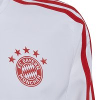 Мъжки суитшърт Adidas FC Bayern Condivo 22 HB0637, снимка 3 - Спортни дрехи, екипи - 40495914