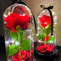 Светеща Вечна Роза в Стъкленица от Красавицата и Звяра Страхотен Подарък за Жени Свети Валентин, снимка 1 - Романтични подаръци - 31683325