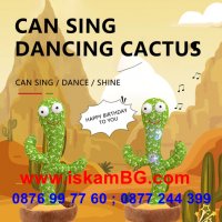 Музикална и танцуваща играчка плюшен кактус, който пее, танцува и повтаря КОД 3698, снимка 4 - Плюшени играчки - 36911228