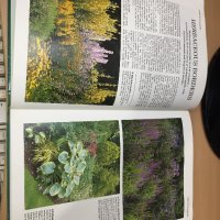 Цветна Енциклопедия - A-Z of perennials -Successful Gardening, снимка 3 - Енциклопедии, справочници - 30873235