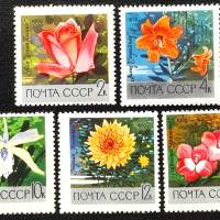 СССР, 1969 г. - пълна серия чисти марки, цветя, 4*14, снимка 1 - Филателия - 44571815