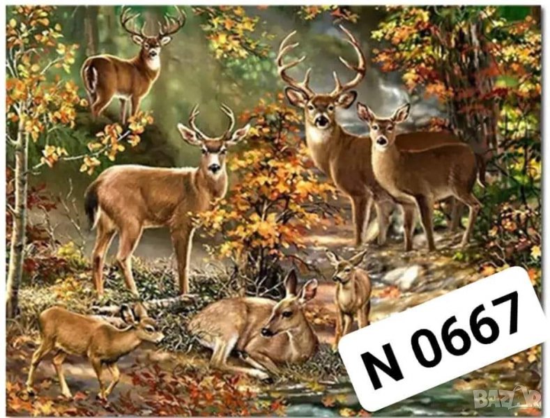 Диамантен Гоблен - Наличен комплект за изработка , снимка 1