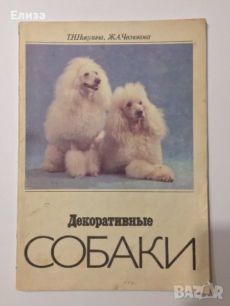 Декоративные собаки, снимка 1