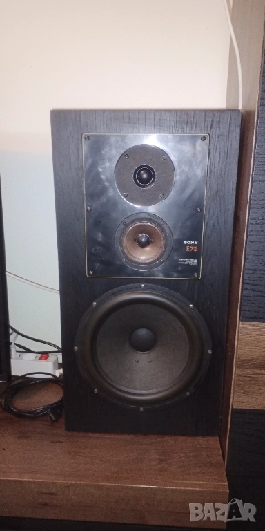 Тонколони Sony SS-E70 10 инча, снимка 1