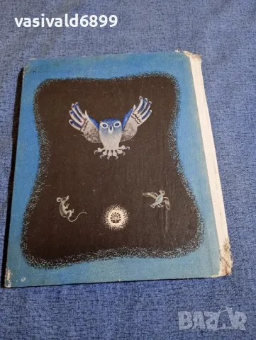 Катерина Сергеева - Кивагме , снимка 4 - Детски книжки - 48478185