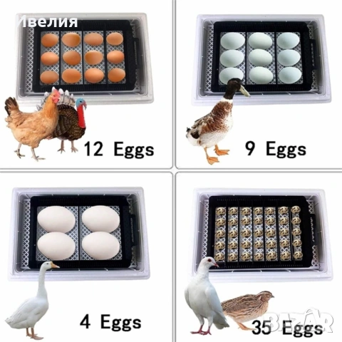 Автоматичен инкубатор за 48 яйца 80W YZ8-48 за пилета, патици, гъски, пъдпъдъци, пуйки, снимка 5 - За птици - 53167733
