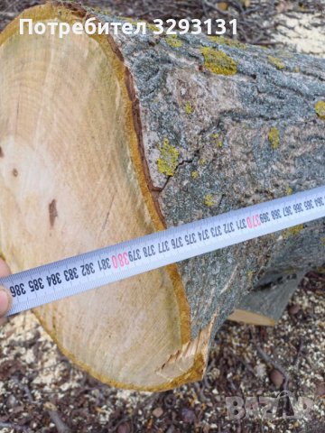 Дървен материал орех / Ствол от орех / Дънер орех / Орехова дървесина, снимка 3 - Дърва за огрев - 44349414