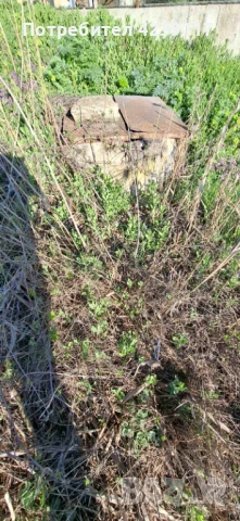 Собственик продава Дворно Място в с. Рогачево, снимка 4 - Парцели - 54112941