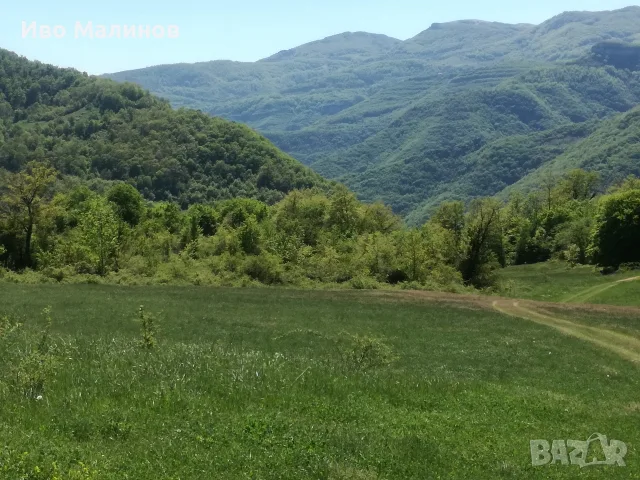 продавам два имота в село Лакатник , снимка 12 - Земеделска земя - 55769447
