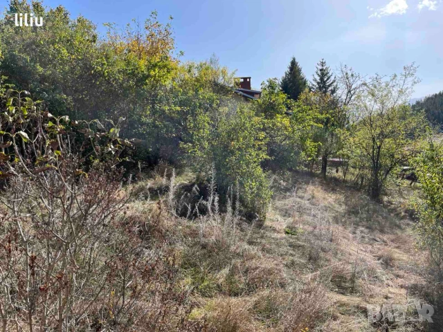 Продава ПАРЦЕЛ област София, с. Широки дол, снимка 4 - Парцели - 53151175