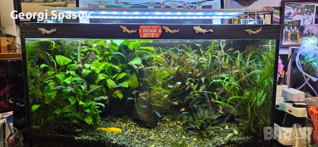 Продавам 110 л.аква с шкаф и всичко, снимка 9 - Рибки - 54024717