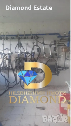 Кравеферма / Ферма в село Леново, общ. Първомай, снимка 3 - Други - 51821560