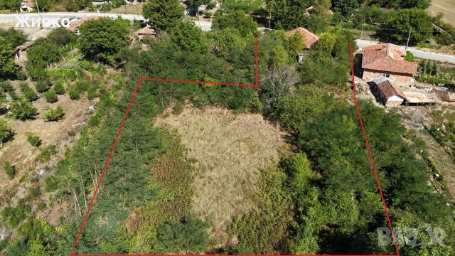 Стара къща в село Сокол, обл. Силистра , снимка 4 - Къщи - 45406043