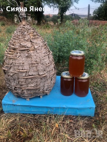 Пчелен мед от Странджа, снимка 3 - Други - 30122257