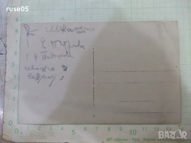 Снимка стара на група пред дърветата, снимка 2 - Колекции - 48004686