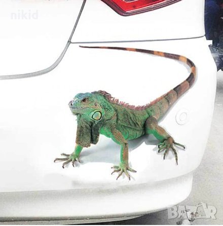  Игуана 3D стикер лепенка за автомобил кола самозалепващ, снимка 1 - Аксесоари и консумативи - 29547255