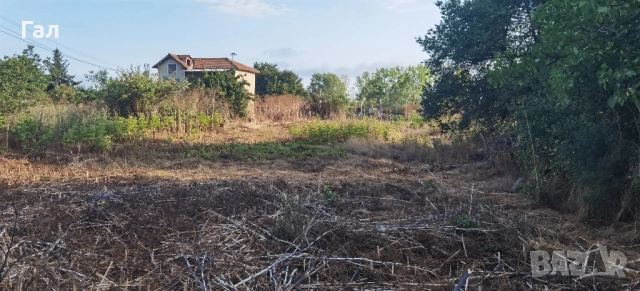 Парцел в с.Селце община Каварна 1026кв.м, снимка 2 - Парцели - 51468215