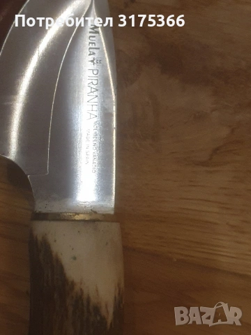 Нов нож за дране Muela piranha Spain дръжка еленов рог и оригинална кания от естествена кожа, снимка 5 - Ножове - 54010539