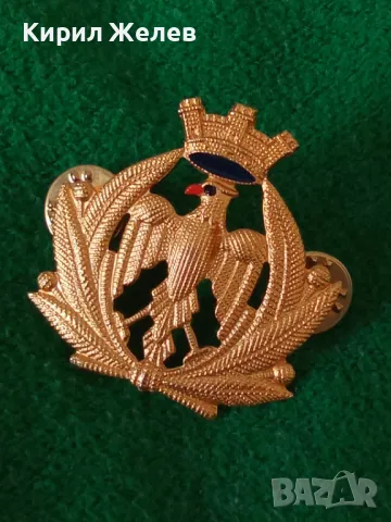 LA. MI. SUD. ROMA Рядка ИТАЛИАНСКА ПОЗЛАТЕНА ВОЕННА ЗНАЧКА от БЛАГОРОДНА СТОМАНА 36584, снимка 14 - Колекции - 39807474