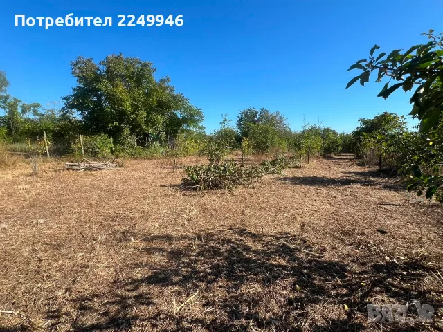продавам парцел в Каварна,местност "Старите лоза", снимка 2 - Парцели - 56160282