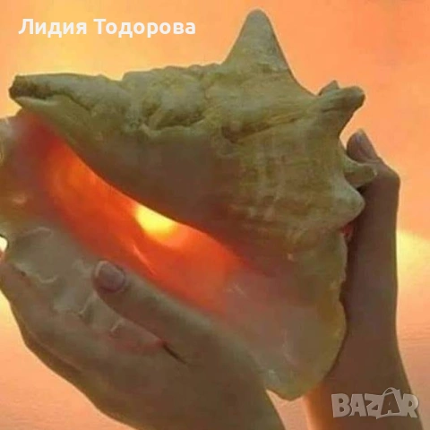 МАГИЯ ЗА СЬБИРАНЕ НА РАЗДЕЛЕНИ С ГАРАНЦИЯ БЕЗ ШАРЛАТАНИЙ.0877751119