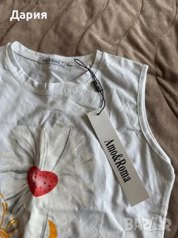 Потник, снимка 2 - Потници - 50437473