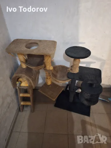 Котешки катерушки