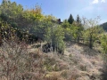 Продава ПАРЦЕЛ област София, с. Широки дол, снимка 4