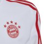 Мъжки суитшърт Adidas FC Bayern Condivo 22 HB0637, снимка 3
