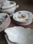 чешки ловен порцеланов сервиз Bernadotte Bohemia , снимка 4