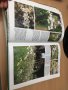 Цветна Енциклопедия - Colour Round the Year (Successful Gardening), снимка 7