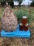 Пчелен мед от Странджа, снимка 3