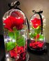 Светеща Вечна Роза в Стъкленица от Красавицата и Звяра Страхотен Подарък за Жени Свети Валентин