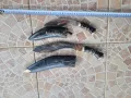 Нож, кумая, кама, кинжал, кукри, каракулак, снимка 3