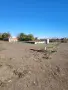 Продава парцел с. Топола, снимка 2