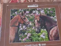 Пъзел "Two Stallions" Edition Boiselle Schmidt 2010г. 1000 части , снимка 1