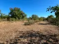продавам парцел в Каварна,местност "Старите лоза", снимка 2