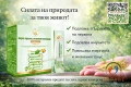 Боров прашец с ксилоолигозахариди, снимка 2