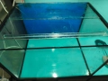 продавам аквариум 150 л., снимка 4