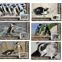 Чисти блокове Фауна Птици Африкански пингвин 2020 от Тонго, снимка 1 - Филателия - 37602513