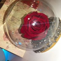 Вечна роза в стъкленица , снимка 2 - Романтични подаръци - 38007346