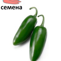 Семена за екзотични люти чушки, снимка 6 - Сортови семена и луковици - 44274579