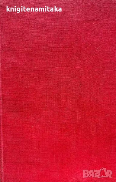 Майка - Йохан Бойер, снимка 1