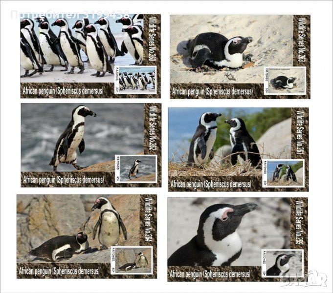 Чисти блокове Фауна Птици Африкански пингвин 2020 от Тонго, снимка 1