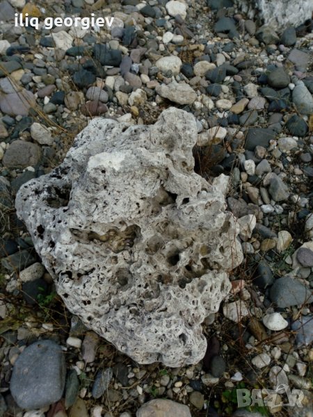 Камъни за алпинеум, снимка 1