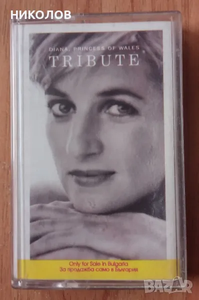 ТРИБЮТ ЗА ПРИНЦЕСА ДАЯНА , снимка 1