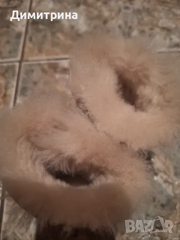 Бебешки обувки Колев и Колев , снимка 7 - Бебешки обувки - 49557591