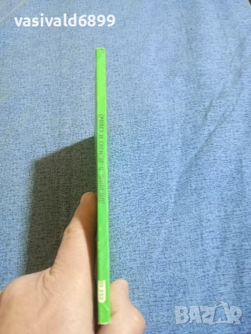 Стефан Станчев - Дневник в зелено и синьо , снимка 2 - Българска литература - 53911598